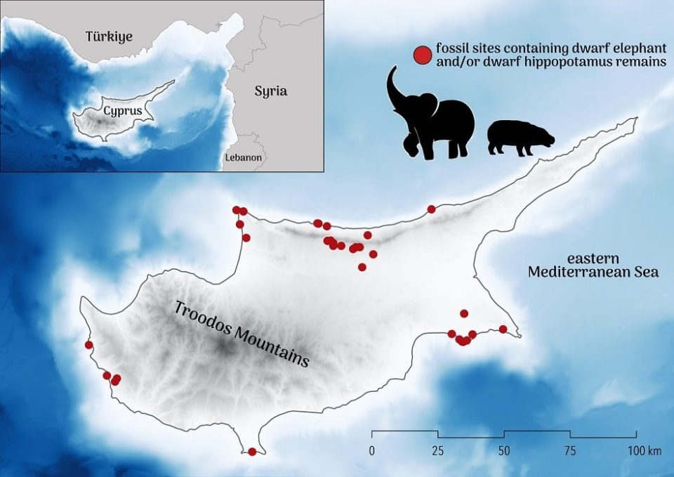 unraveling-europe’s-ancient-mystery-of-animal-extinction-on-cyprus