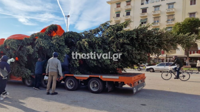 Βίντεο:-Στη-Θεσσαλονίκη-το-έλατο-ύψους-20-μέτρων-που-θα-στολιστεί-στην-Αριστοτέλους