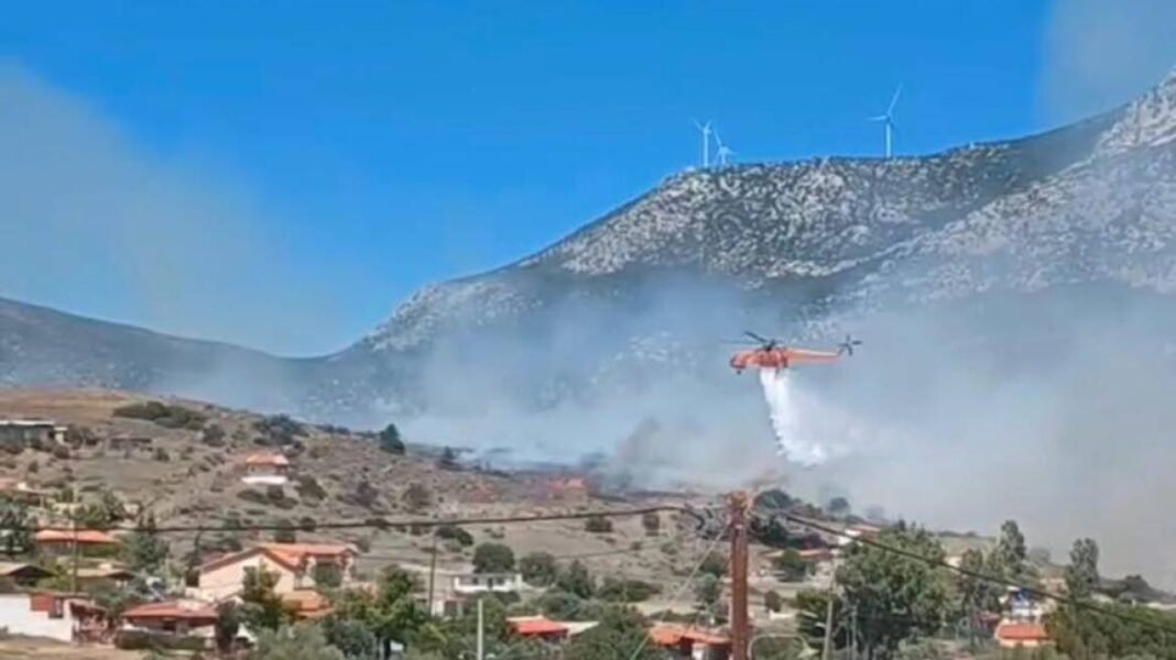 Υπό-έλεγχο-η-φωτιά-στην-Βοιωτία-–-Οι-φλόγες-«έγλειψαν»-τις-αυλές-των-σπιτιών-στην-Αλυκή