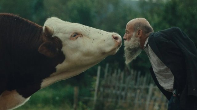 Στο-ντοκιμαντέρ-«better-go-mad-in-the-wild»-απονεμήθηκε-το-κορυφαίο-βραβείο-του-Φεστιβάλ-του-Κάρλοβι-Βάρι