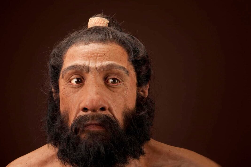 new-study-shows-even-neanderthals-had-dinner-preferences
