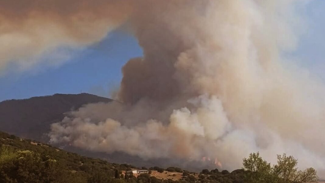 Διάσπαρτες-εστίες-στον-Φενεό-–-Πάνω-από-11.000-στρέμματα-δάσους-κάηκαν