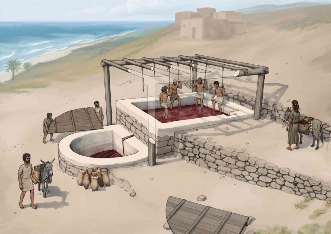 ancient-phoenician-builders-used-concrete-like-plaster-before-the-romans