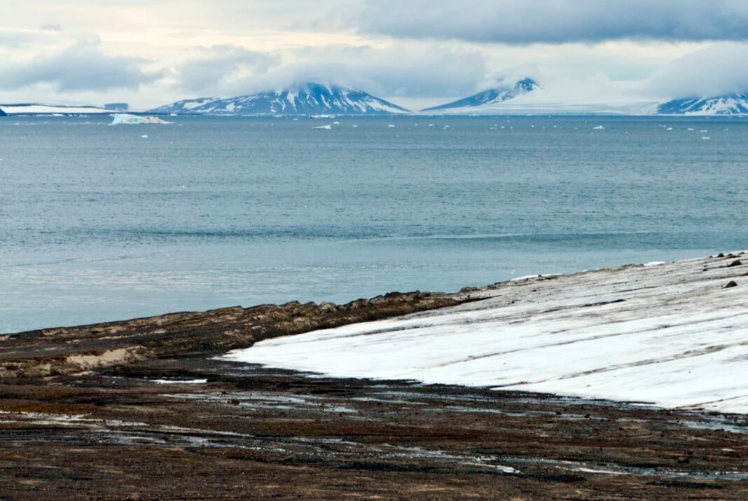 ancient-whale-graveyard-uncovered-beneath-melting-glacier-in-russia