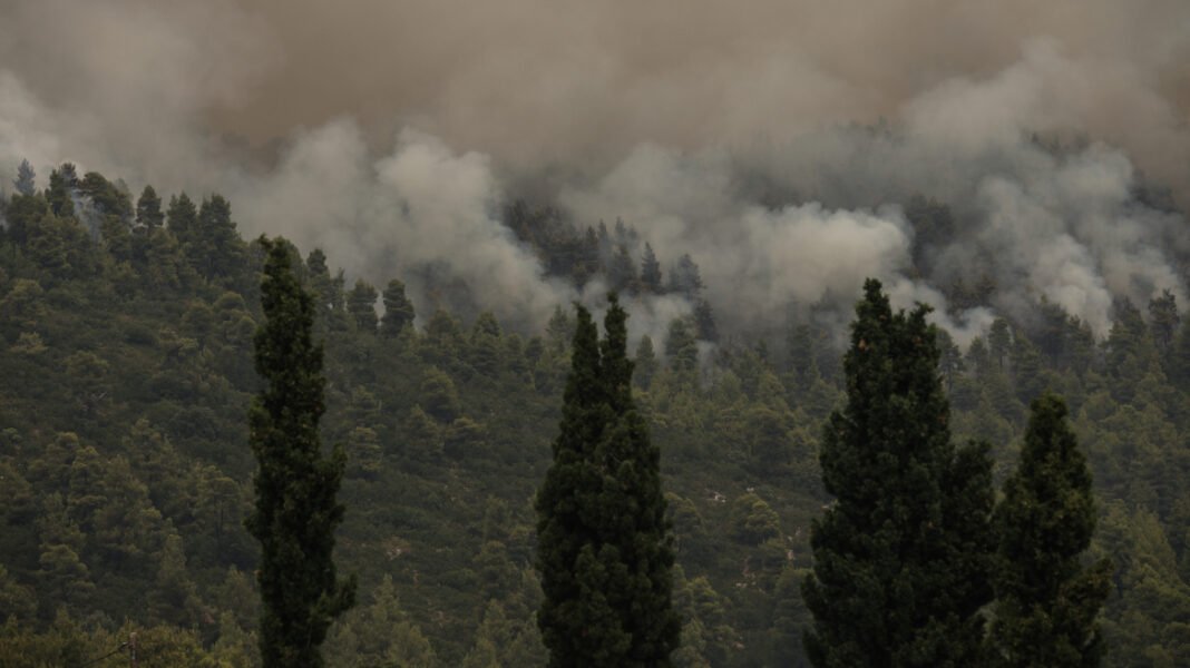 Πυροσβεστική:-65-αγροτοδασικές-πυρκαγιές-το-τελευταίο-24ωρο-σε-όλη-τη-χώρα