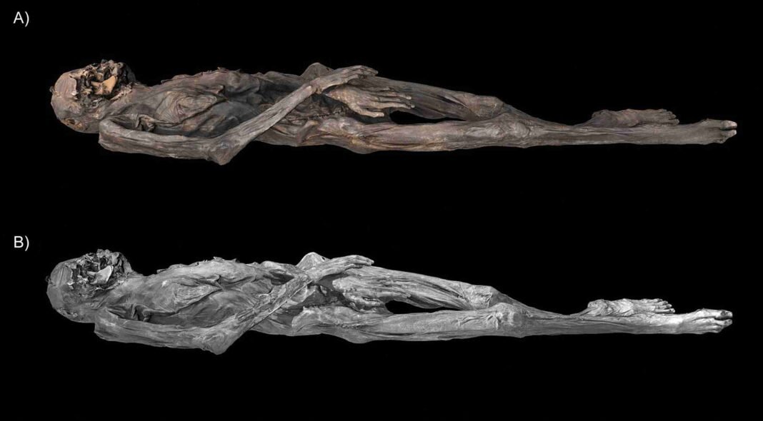 archaeologists-reconstruct-2,500-year-old-tattoos-from-mummy-found-in-siberia