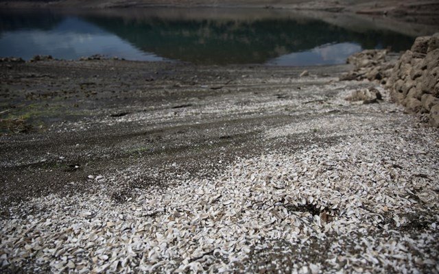 waterwise:-Επιστημονική-ομάδα-του-Δημοκρίτειου-ερευνά-βιώσιμες-λύσεις-για-την-αντιμετώπιση-της-λειψυδρίας-σε-όλη-την-Ελλάδα
