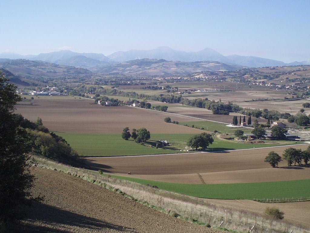 archaeologists-uncover-roman-production-district-in-ancient-city-of-suasa,-italy