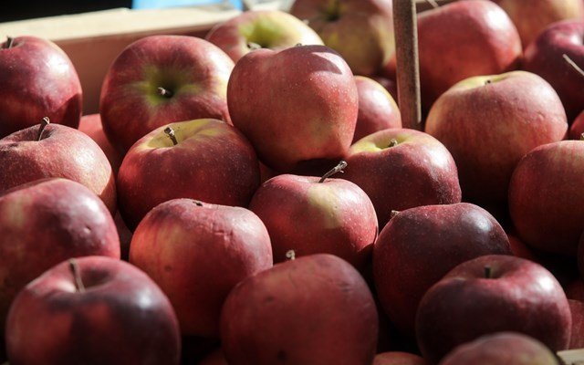 Πρόστιμα-56.000-ευρώ-σε-εταιρείες-πιστοποίησης-βιολογικών-προϊόντων
