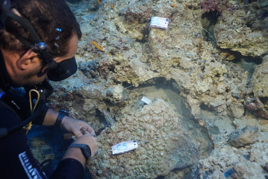 bronze-age-shipwreck-off-turkey-reveals-new-clues-about-minoan-trade