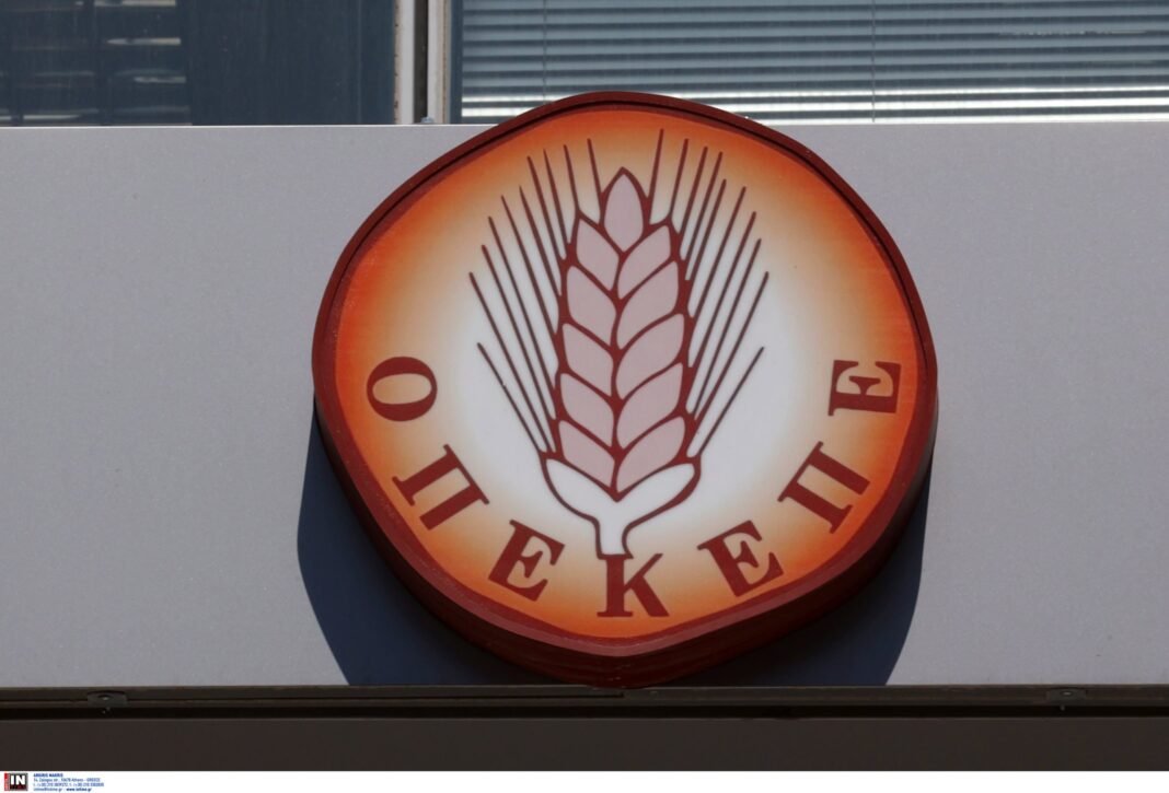 ΟΠΕΚΕΠΕ:-Από-«κόσκινο»-αρχεία-και-έγγραφα-μετά-την-έφοδο-της-Αρχής-για-το-«ξέπλυμα-χρήματος»-–-Η-παραίτηση-Σεμερτζίδου-και-οι-αντιδράσεις-των-κομμάτων