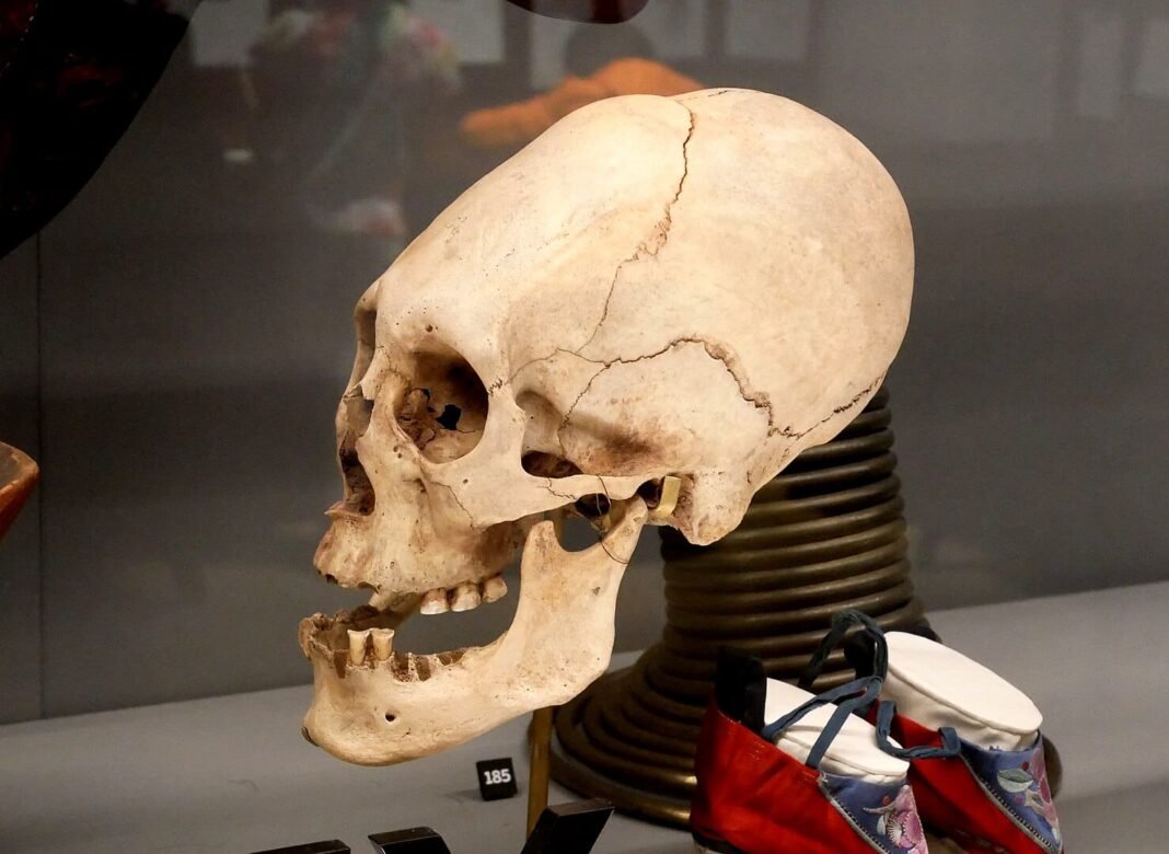 europe’s-oldest-modified-skull-found-in-italy