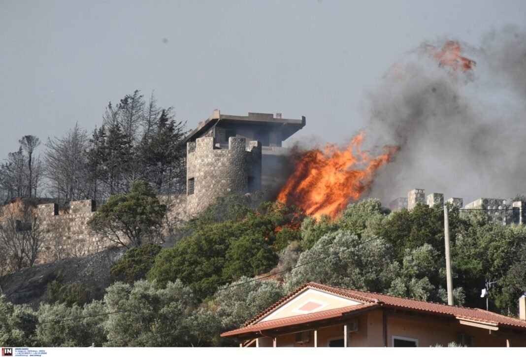 Φωτιές:-Σε-εξέλιξη-οι-αυτοψίες-στις-πληγείσες-περιοχές-–-Πριν-από-το-τέλος-Αυγούστου-οι-πρώτες-αποζημιώσεις