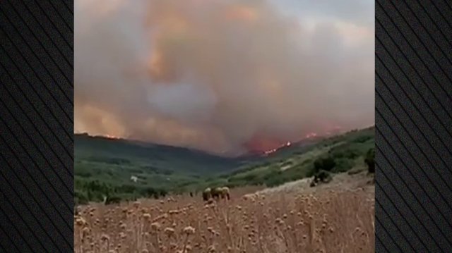 Λάρισα:-Σε-διάσπαρτα-μέτωπα-καίει-η-φωτιά-στο-Αμύγδαλο-Τυρνάβου-–-Συνεχίζεται-η-επιχείρηση-της-Πυροσβεστικής