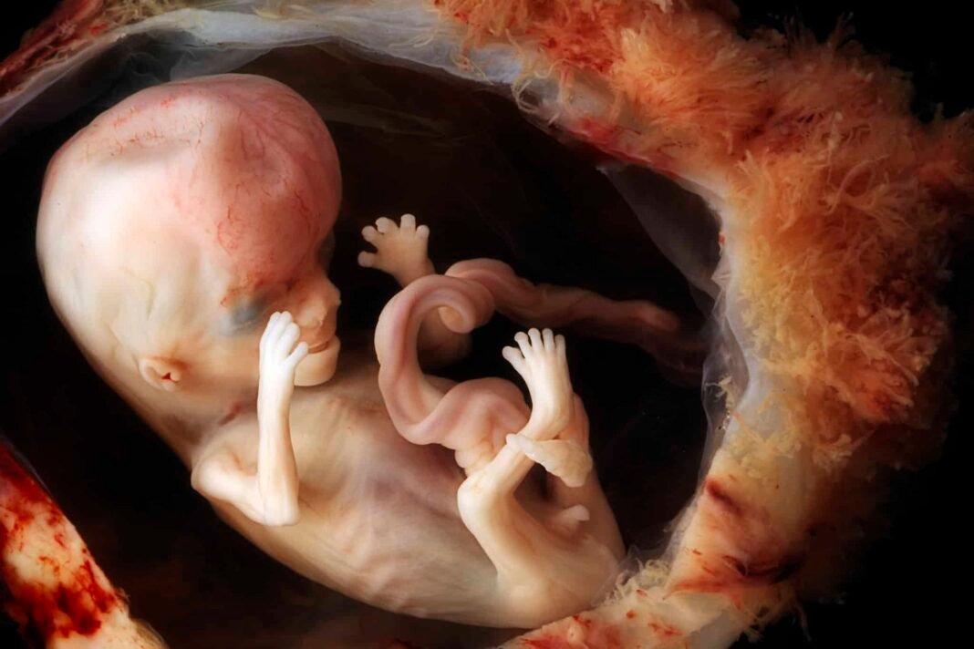 china-develops-pregnancy-robot-that-can-give-birth-to-human-children