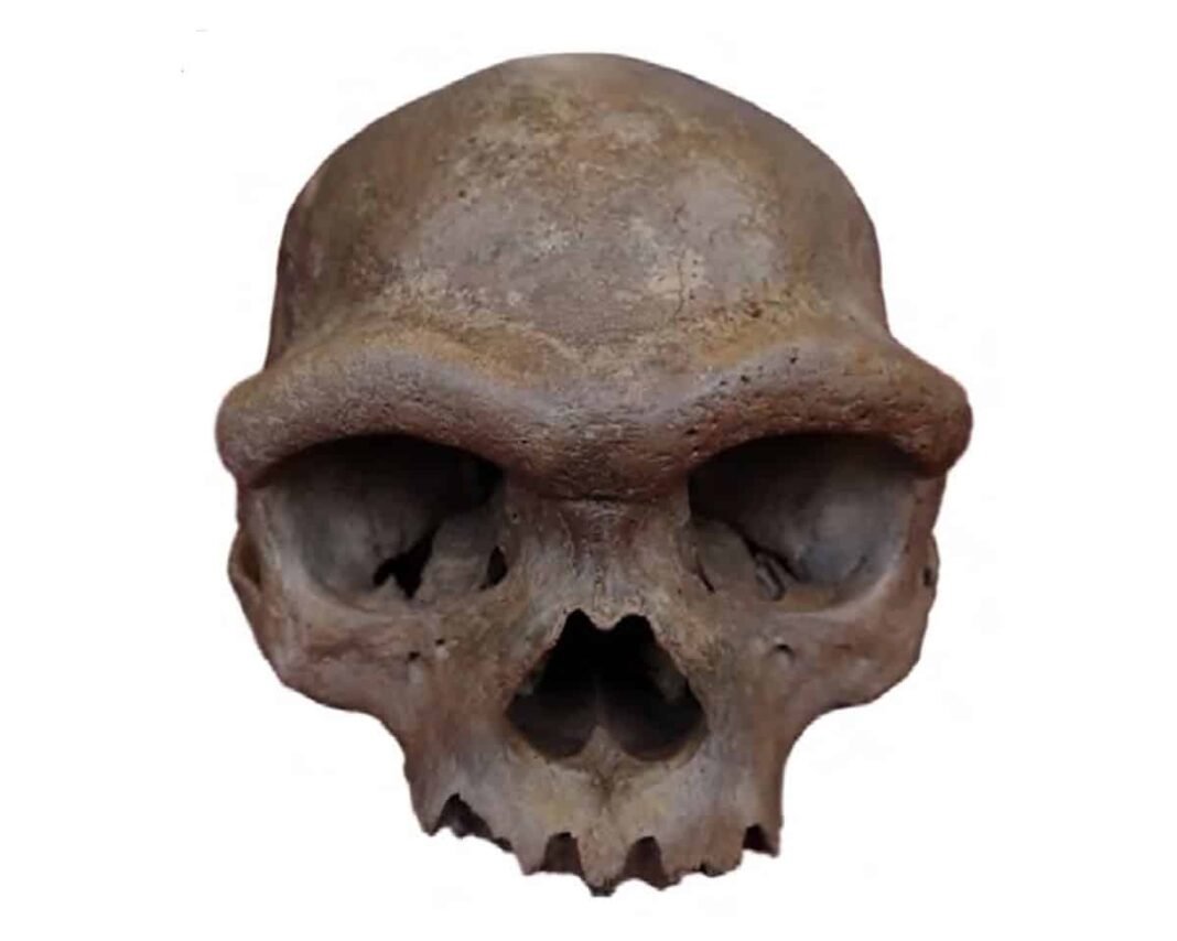 first-americans-had-denisovan-dna,-study-shows