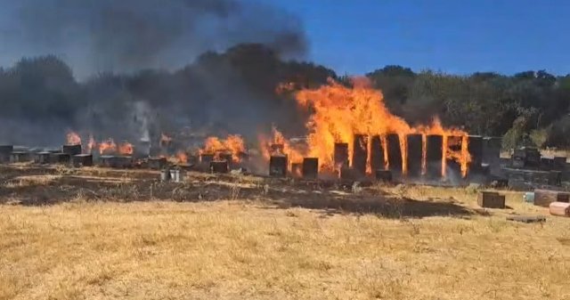 Θεσσαλονίκη:-Συνελήφθη-ένας-άνδρας-για-τη-φωτιά-στον-Χορτιάτη-–-Του-επιβλήθηκε-πρόστιμο-4.331-ευρώ