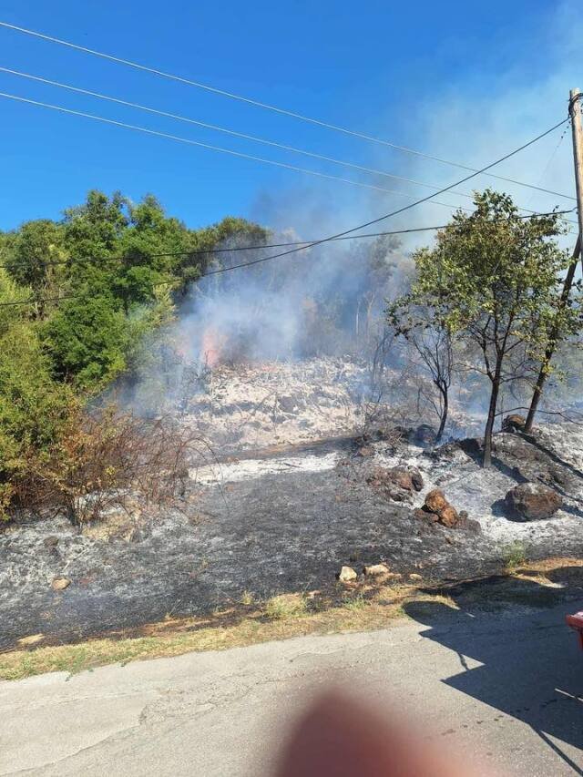 Υπό-μερικό-έλεγχο-η-φωτιά-στο-Ράγιο-Φιλιατών-στη-Θεσπρωτία