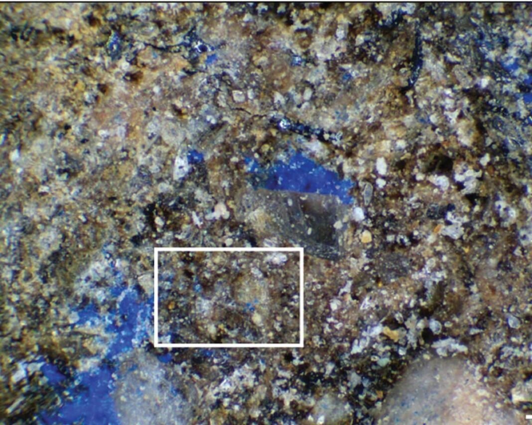 archaeologists-discover-europe’s-oldest-blue-paint,-dating-back-14,000-years