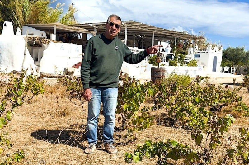 the-mykonos-vineyard-that’s-a-hit-with-classical-music