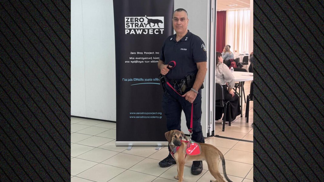 Τα αδέσποτα ως εύκολη λεία για κακοποιητές και δείκτης αύξησης της εγκληματικότητας