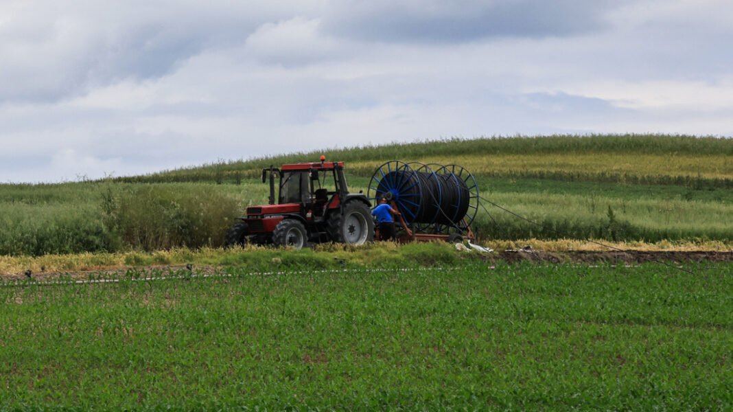 Αποκαλύπτεται η μαφία του ΟΠΕΚΕΠΕ: Οι 37 συλλήψεις, ο αγρότης από τα Γιαννιτσά και το κόλπο με τις αδήλωτες εκτάσεις