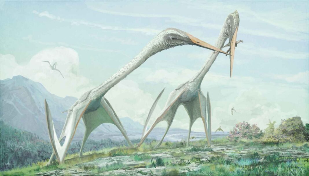 70-million-year-old-giant-flying-reptile-fossil-unearthed-in-syria 70-million-year-old-giant-flying-reptile-fossil-unearthed-in-syria