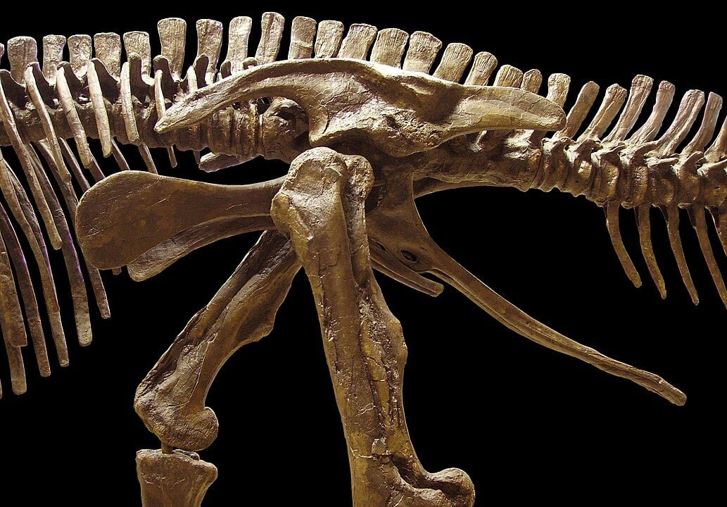 scientists-discover-first-dinosaur-with-hooves,-rewriting-evolutionary-history scientists-discover-first-dinosaur-with-hooves,-rewriting-evolutionary-history