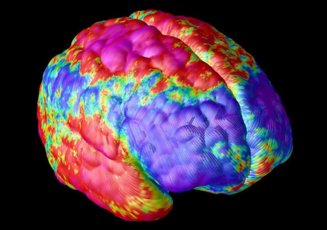 scientists-discover-brain-cell-that-can-prevent-schizophrenia