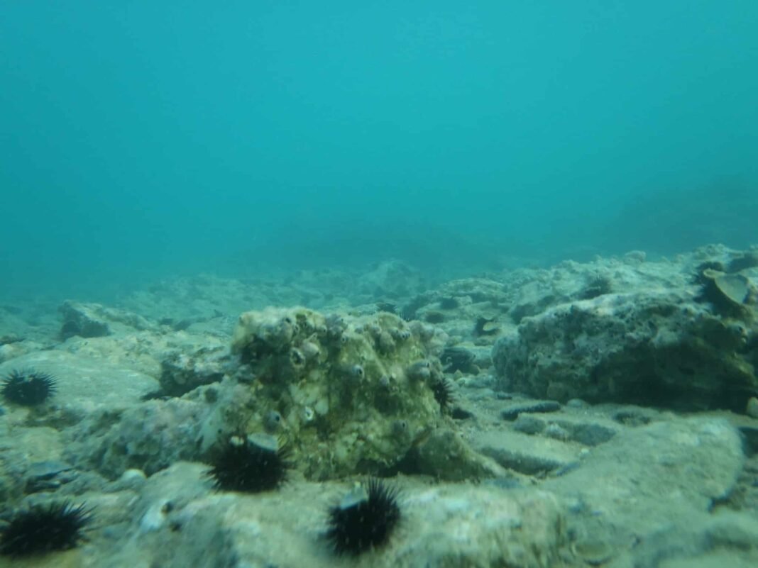 New Steel Pod Enables Humans to Live and Work Underwater