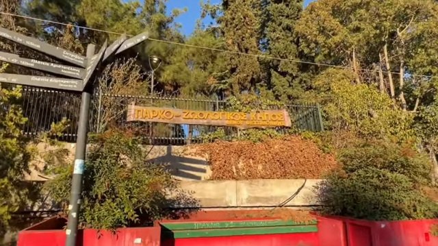 Θεσσαλονίκη: Λουκέτο μέχρι νεοτέρας στον ζωολογικό κήπο λόγω κρούσματος βρουκέλλωσης σε κριό