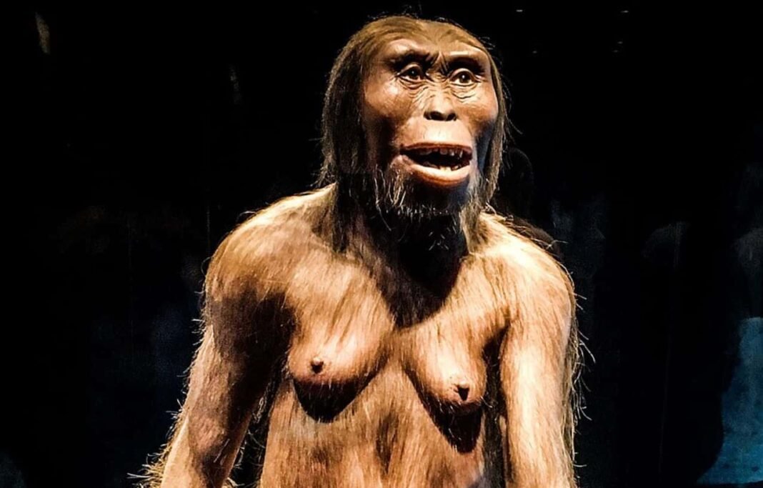 New Human Relative Emerges as Ethiopia Foot Reveals 3.4-Million-Year-Old Species