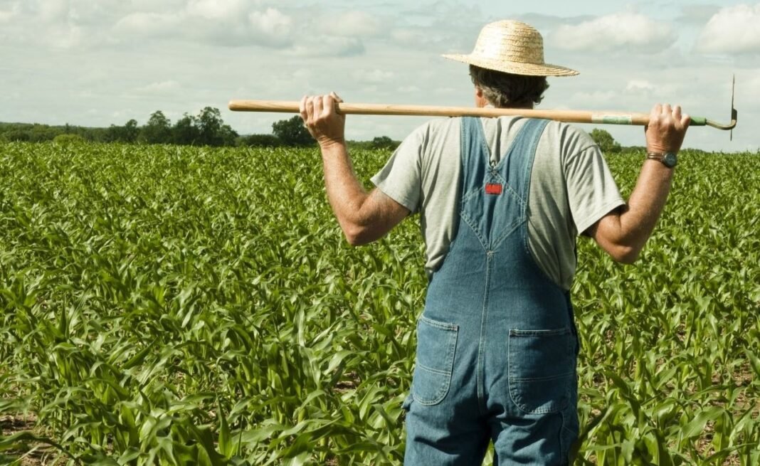 Κέλλας: Ανοίγει η πλατφόρμα για τις ενστάσεις των αγροτών – Φέτος οι πληρωμές έγιναν κατόπιν ελέγχων