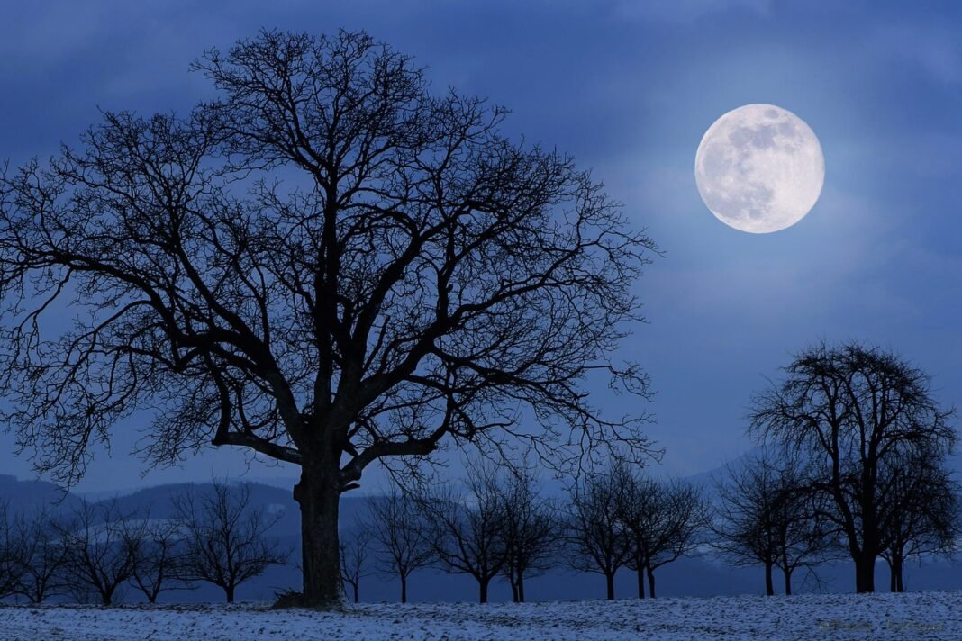 December’s High Rising Supermoon Set to Light Up the Night