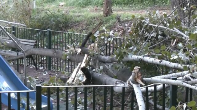 Δέντρο-έπεσε-σε-παιδική-χαρά-στο-Χαϊδάρι,-δείτε-βίντεο