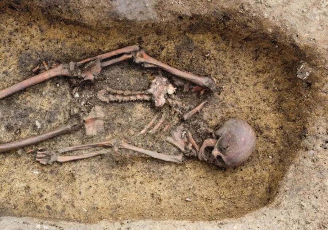 Viking-Age Woman’s Grave in Norway Reveals Jewelry and Burial Practices viking-age-woman’s-grave-in-norway-reveals-jewelry-and-burial-practices