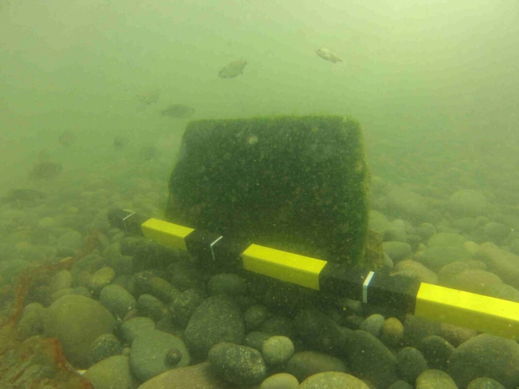 underwater-inca-era-structures-discovered-near-el-huarco,-peru