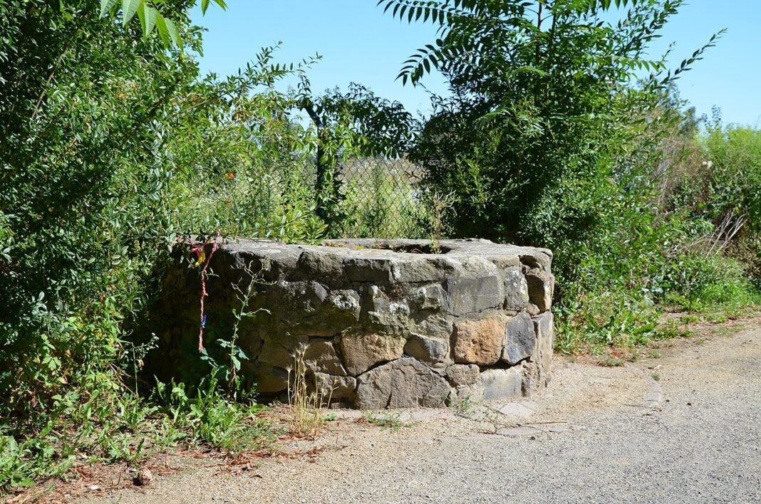 Roman Sanctuary Found in Frankfurt Shows Unique Ancient Rituals