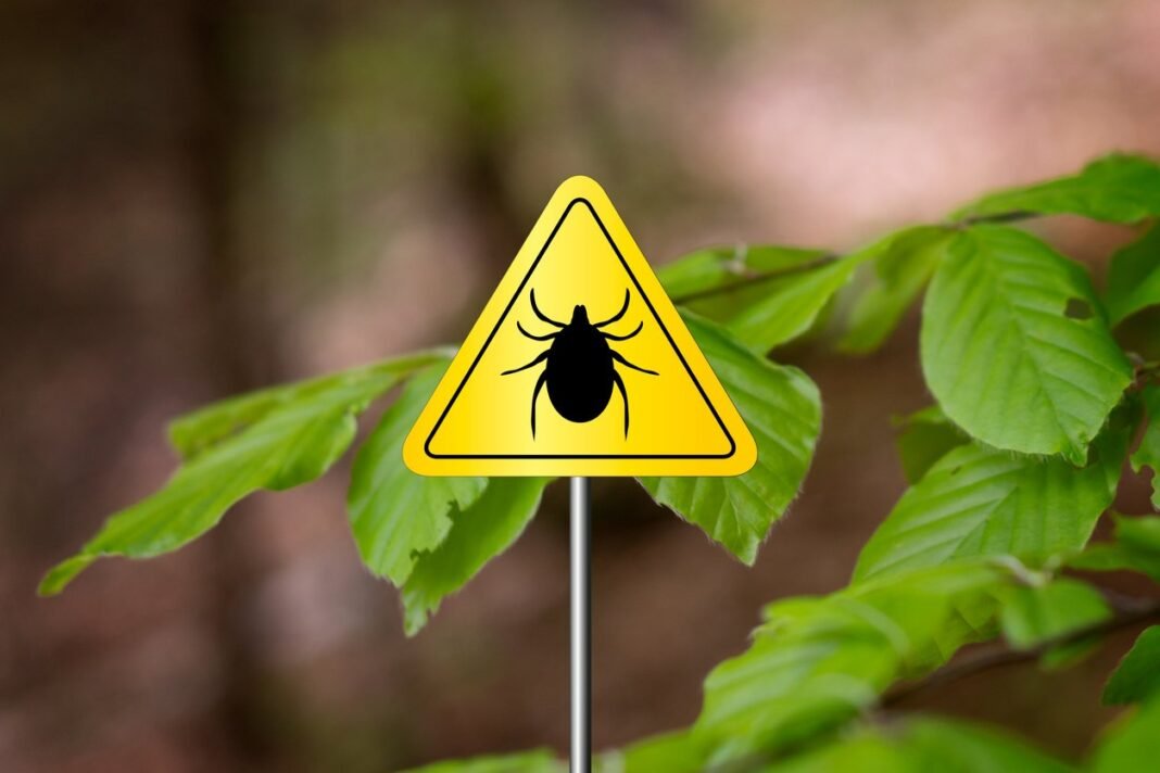 Αιμορραγικός-πυρετός:-Που-οφείλεται-και-πώς-εκδηλώνεται-–-Τι-πρέπει-να-ξέρουμε