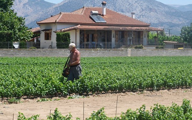 Νέες ευνοϊκές ρυθμίσεις για τον πρωτογενή τομέα – Παράταση για χρηματοδότηση και αγροτικά ακίνητα