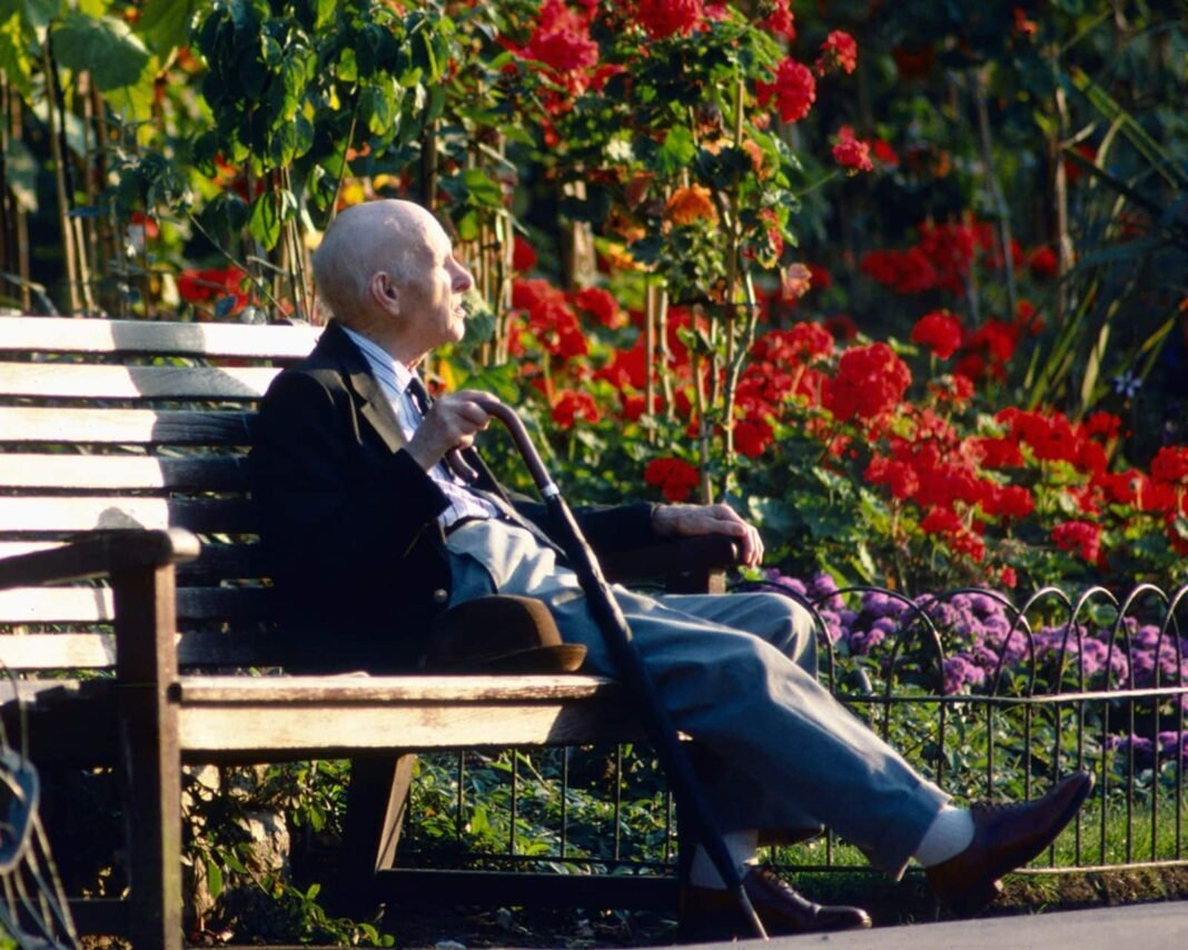 Viagra Shows Unexpected Power in Fight Against Alzheimer’s, New Study Finds