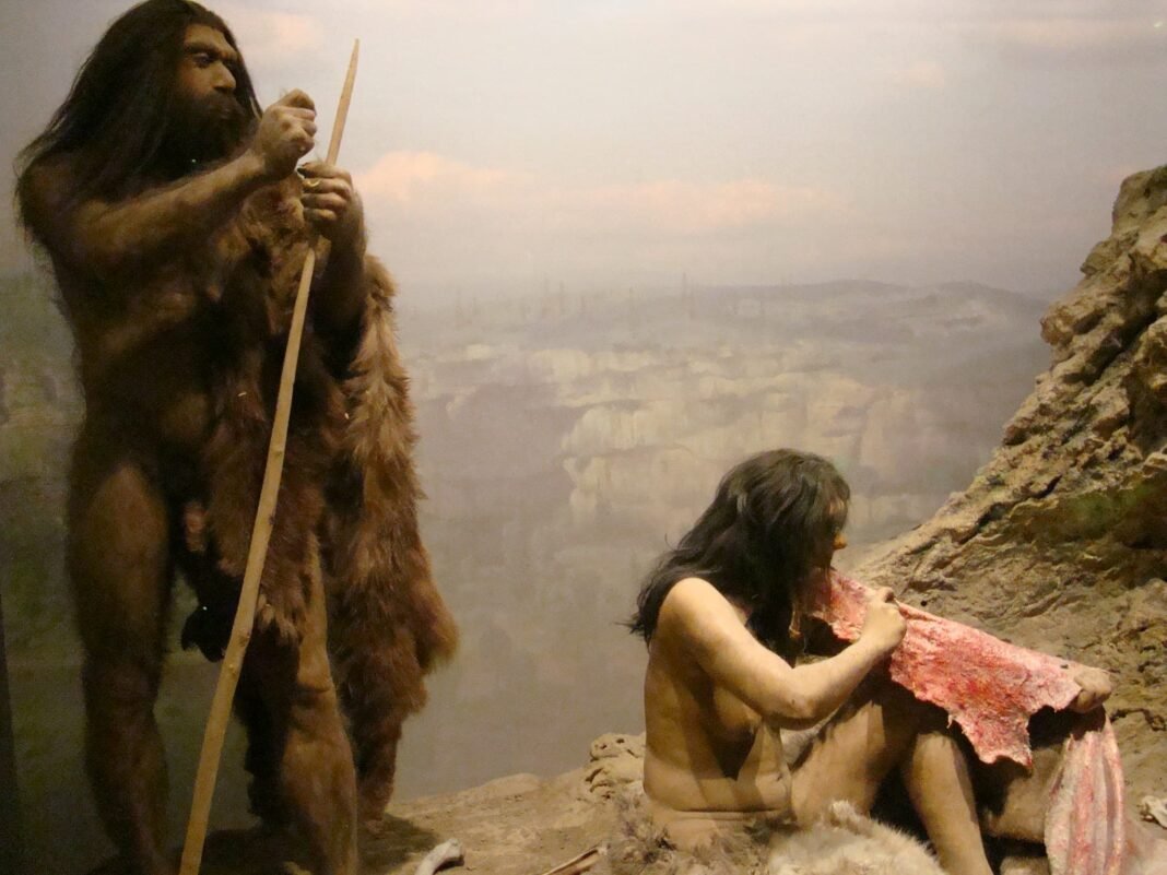 Did Homo Sapiens Women Prefer Neanderthal Men?