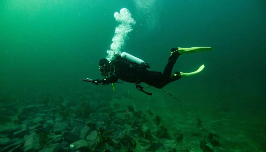 1,000-Year-Old Underwater Structure Found Off Norway Coast 1,000-year-old-underwater-structure-found-off-norway-coast
