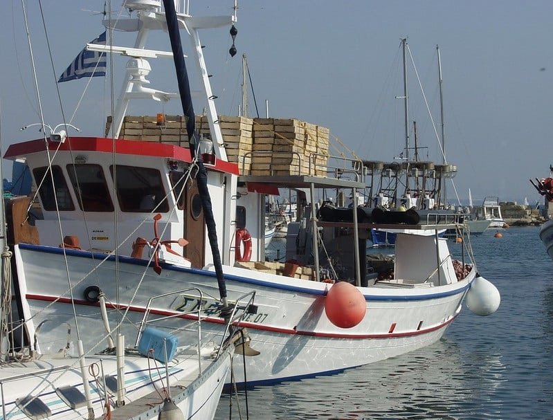 weakening-black-sea-inflow-threatens-marine-life-in-the-aegean