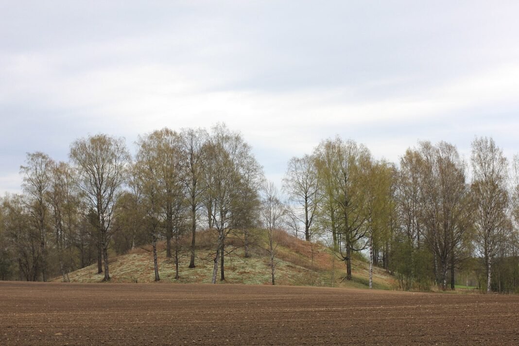 scandinavia’s-largest-mound-likely-built-as-a-disaster-monument,-not-for-burial