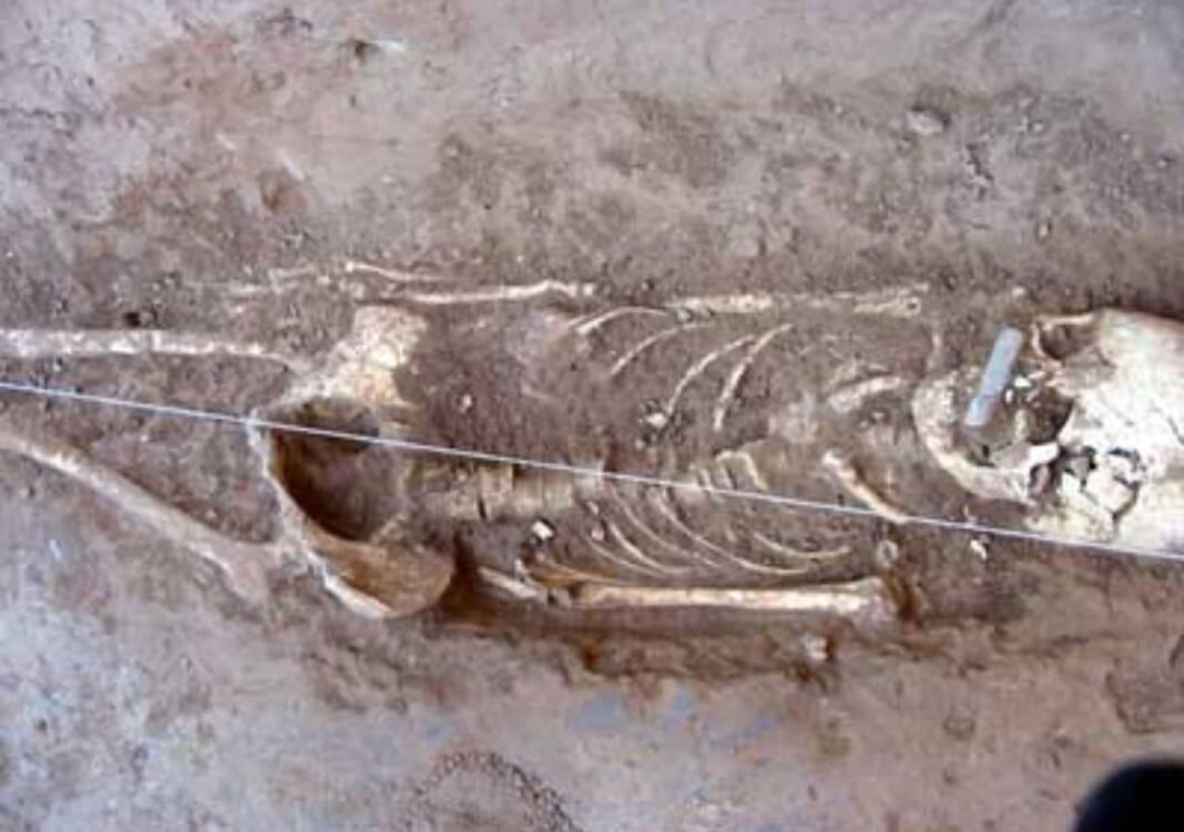 Ancient DNA Reveals Unknown Human Lineage in China ancient-dna-reveals-unknown-human-lineage-in-china