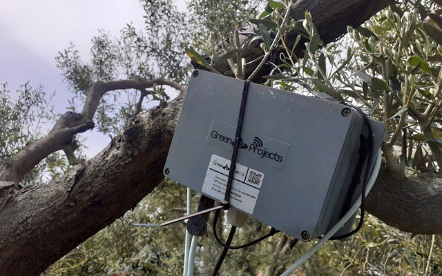 Αγουρέλαιο Χαλκιδικής: Καινοτομία στην παραγωγή με ευφυή συστήματα “εκτοξεύει” τις δυνατότητες των ελαιοκαλλιεργητών Αγουρέλαιο-Χαλκιδικής:-Καινοτομία-στην-παραγωγή-με-ευφυή-συστήματα-“εκτοξεύει”-τις-δυνατότητες-των-ελαιοκαλλιεργητών