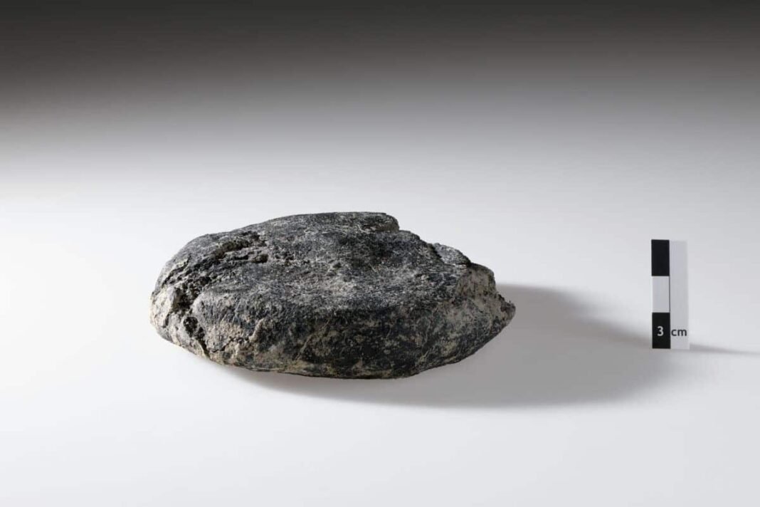 2,000-year-old-bread-found-at-roman-military-camp-in-switzerland