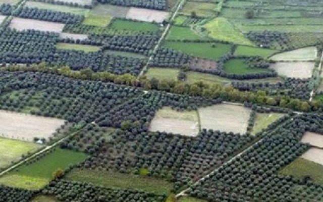 Με αλλαγές για τα πρόστιμα η ΚΥΑ για τον καθαρισμό οικοπέδων Με-αλλαγές-για-τα-πρόστιμα-η-ΚΥΑ-για-τον-καθαρισμό-οικοπέδων