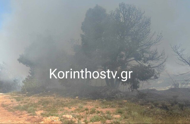 Καλύτερη-η-εικόνα-της-φωτιάς-στο-Ζευγολατιό,-δείτε-βίντεο-και-φωτογραφίες